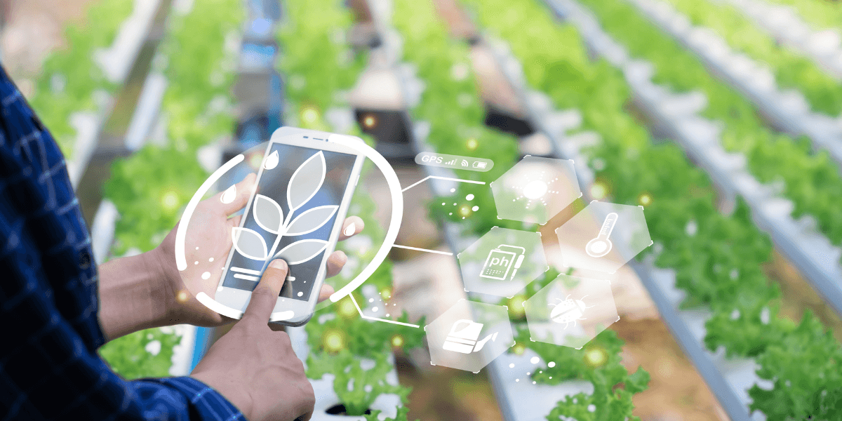 Commodity Market API for Agricultural Pricing Platforms