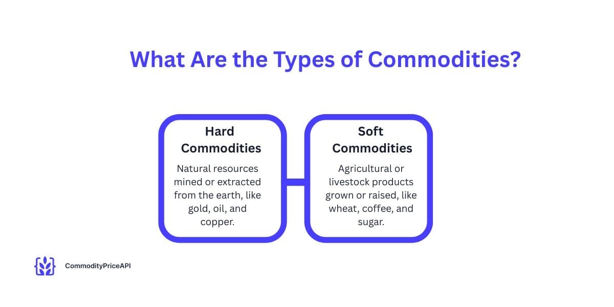 futures and options contracts apis for cme group in particular industry