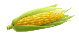 Corn
