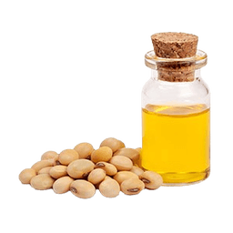 Soybean Oil
