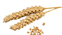Wheat, U.S., SRW