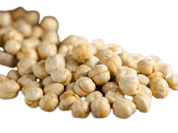Sorgum