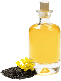 Rapeseed Oil