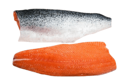 Salmon